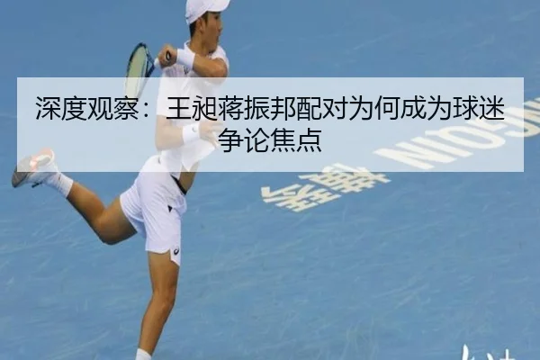深度观察：王昶蒋振邦配对为何成为球迷争论焦点（aitiyu）